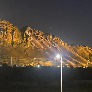 ايلاف طيبة , المدينة المنورة المملكة العربية السعودية